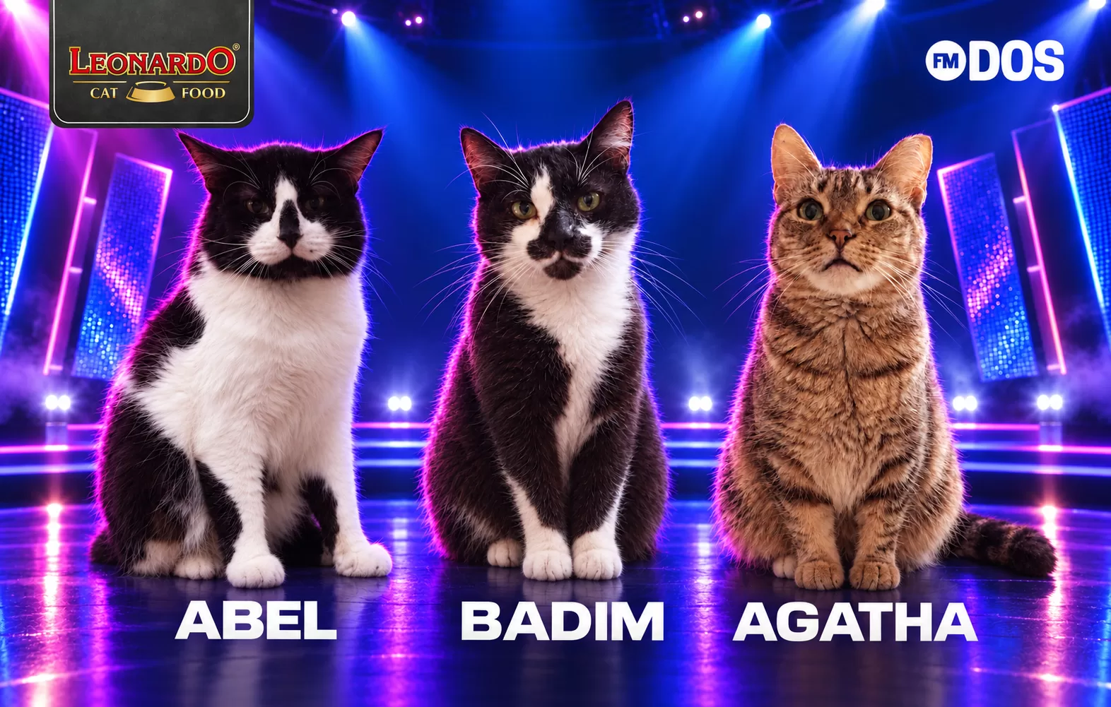 Adopta Un Gato
