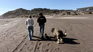"Yo diría que estoy mal, aún no logro procesar lo que pasó, todo fue muy rápido"