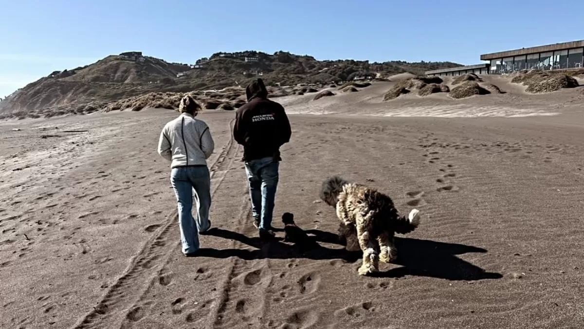 "Yo diría que estoy mal, aún no logro procesar lo que pasó, todo fue muy rápido"