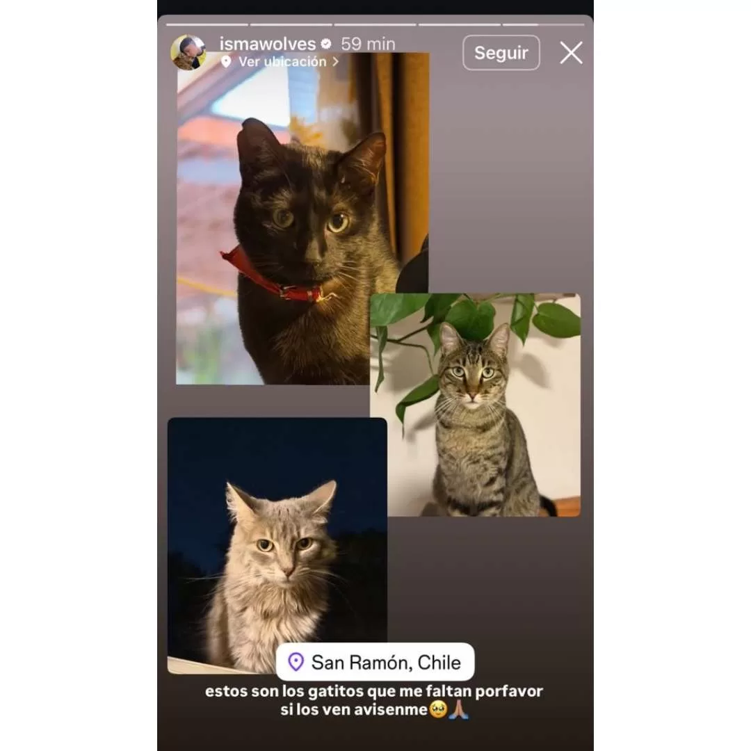 Influencer Ismael