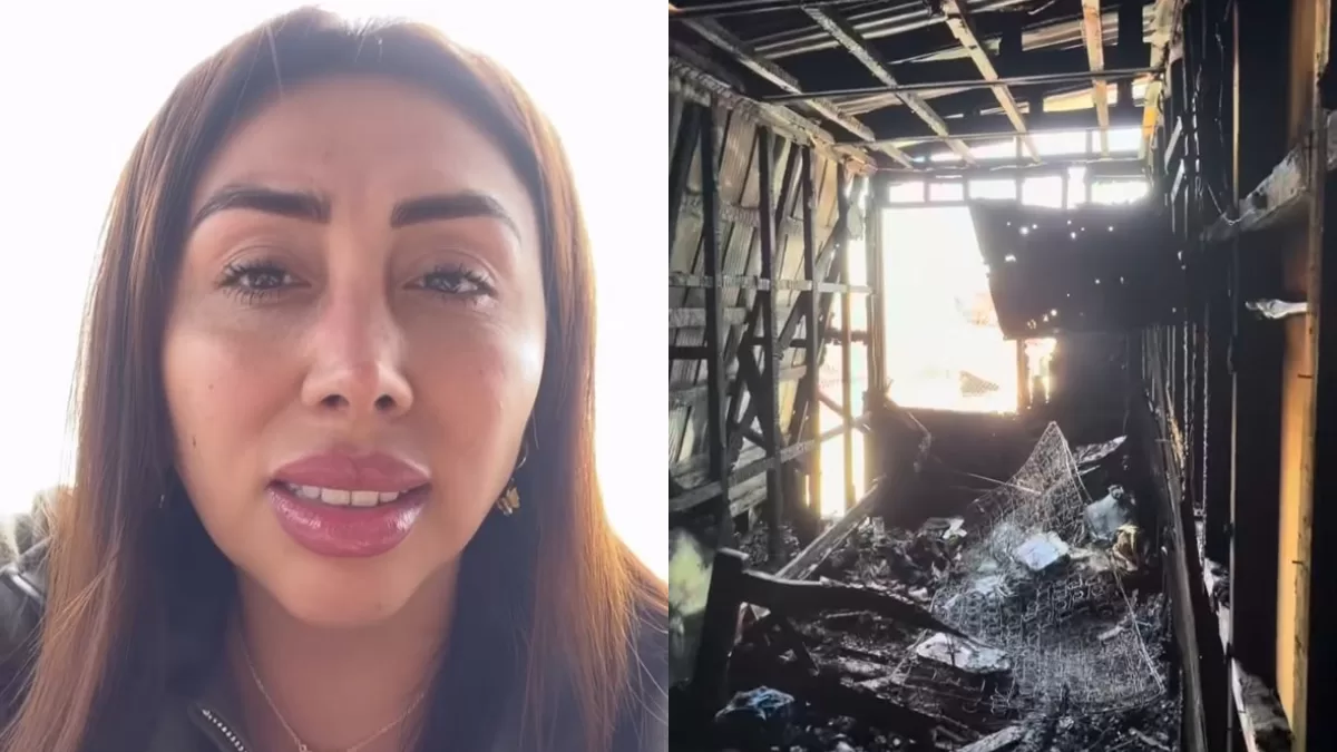 "Por favor, si ven gatitos...": Naya Fácil hace desesperado llamado tras incendio que destruyó la casa de su amigo influencer