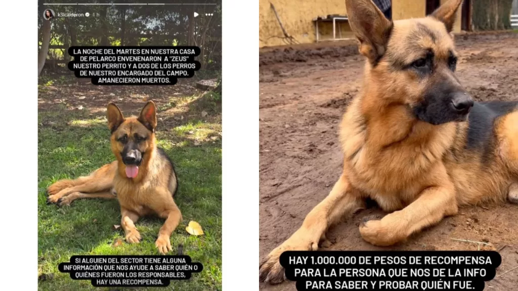Kel Caldrón 1